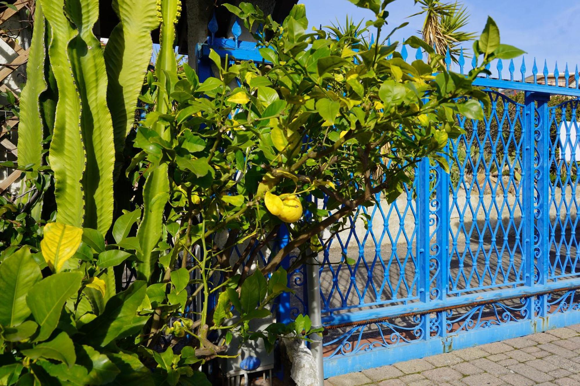 Villa Rita Sea Front View Sanremo - Parcheggio Gratuito In Struttura Buitenkant foto